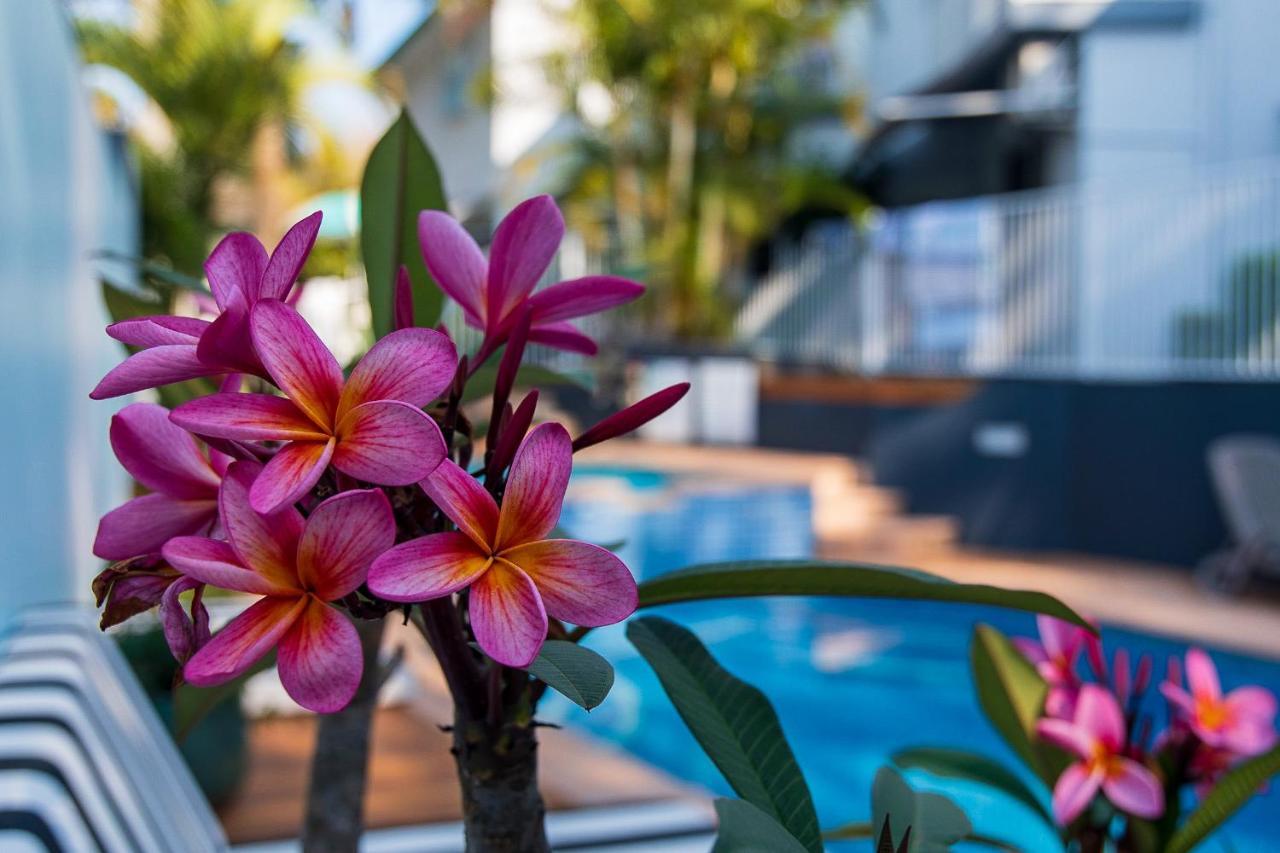 Blueys Motel Blueys Beach Exterior foto